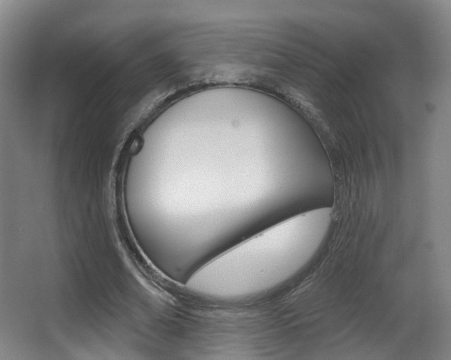 X0000062860678200601130948