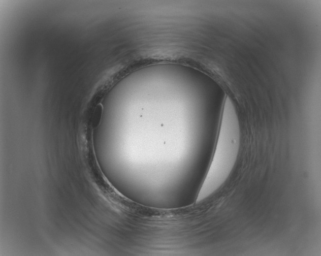 X0000062860688200601130948