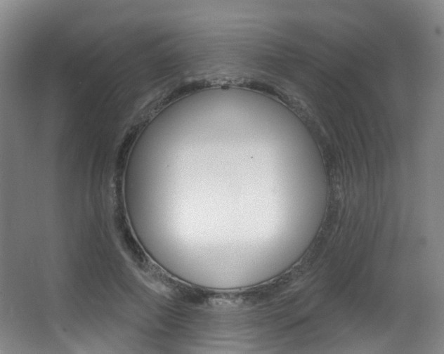 X0000062860690200601130948
