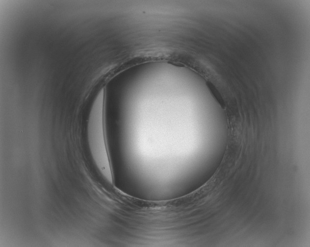 X0000062860692200601130948