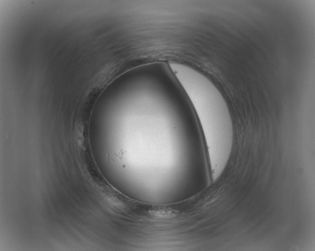 X0000062860693200601130948