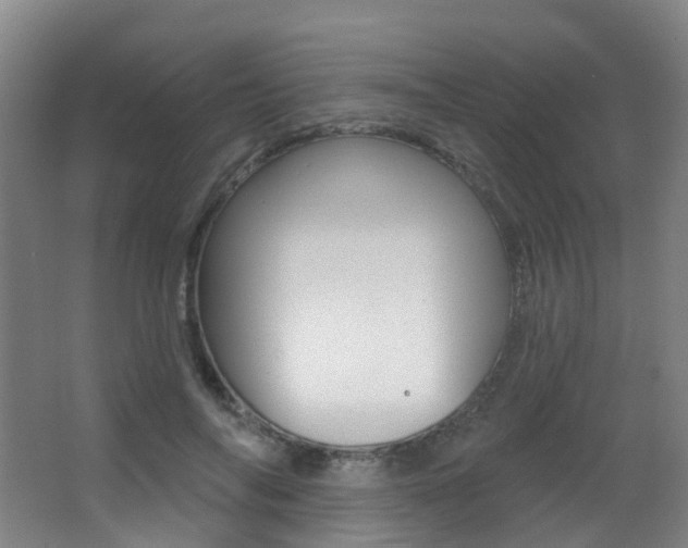 X0000062860694200601130948