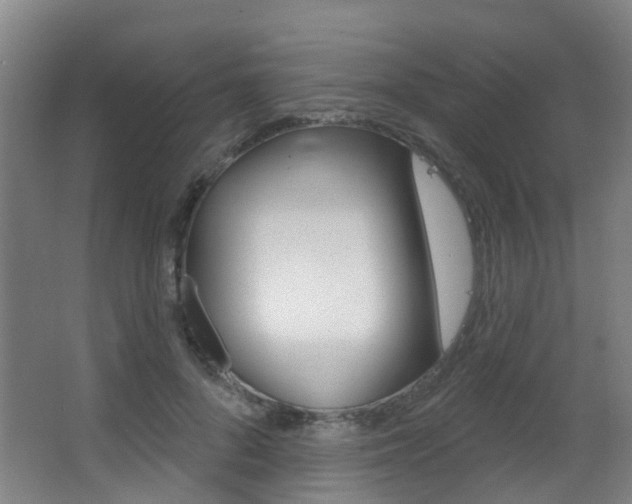 X0000062860696200601130948