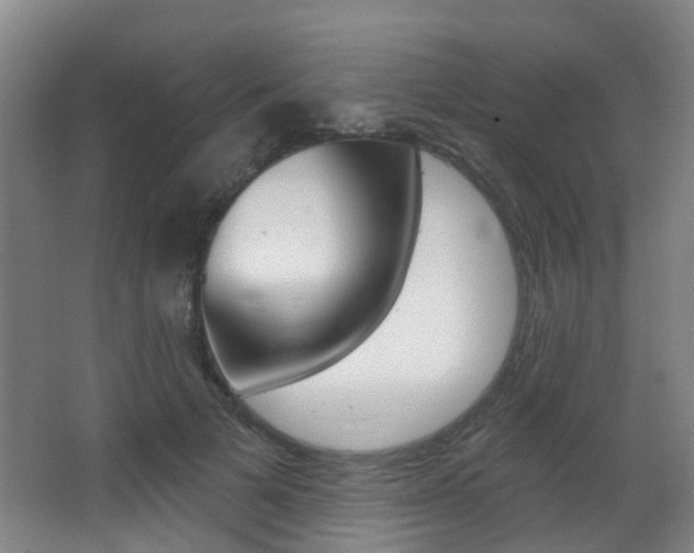 X0000062860697200601130948