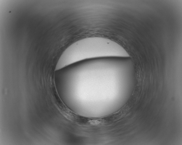 X0000062860703200601130948