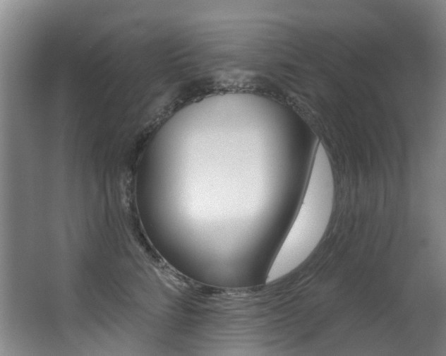 X0000062860712200601130948