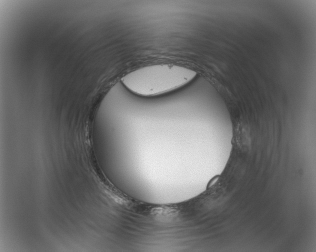 X0000062860714200601130948