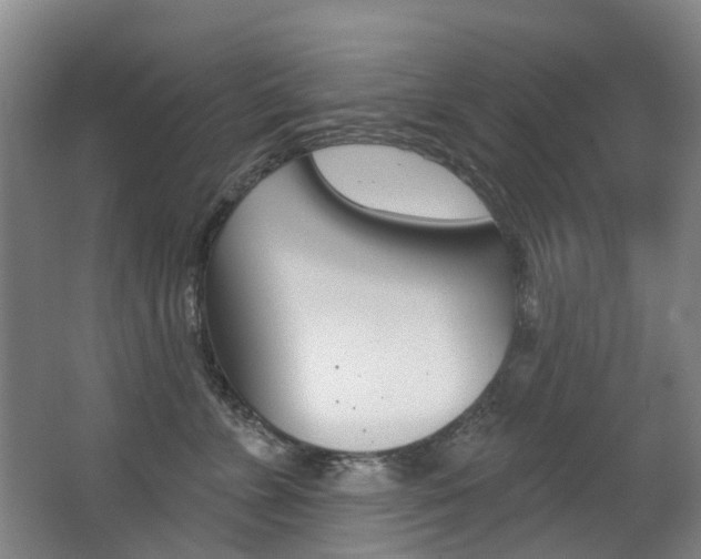 X0000062860715200601130948