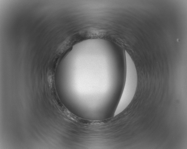 X0000062860716200601130948
