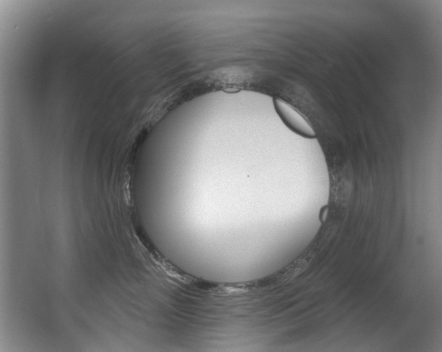 X0000062860718200601130948