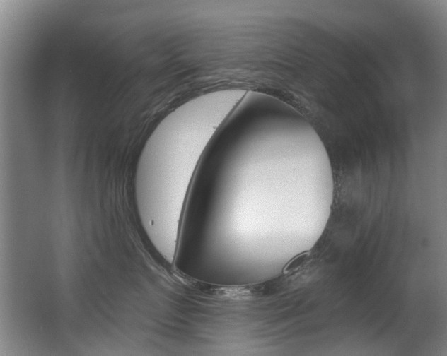 X0000062860719200601130948