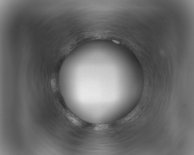 X0000062860720200601130948