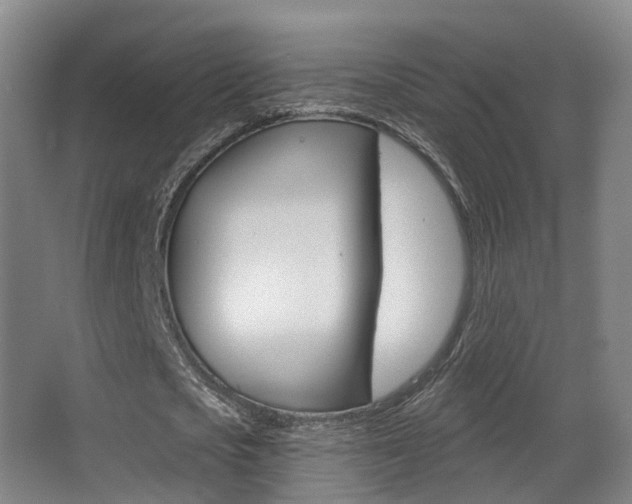 X0000062860721200601130947
