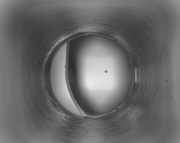 X0000062860723200601130947