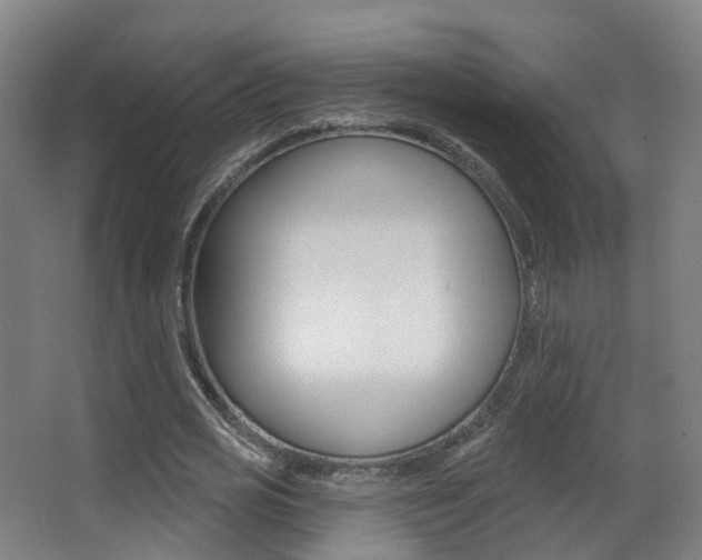 X0000062860725200601130947