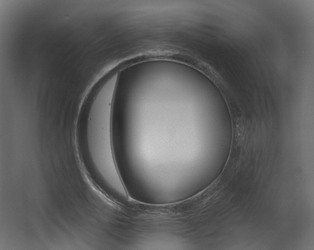 X0000062860726200601130947