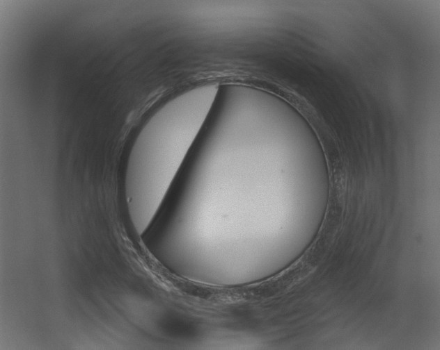 X0000062860729200601130947