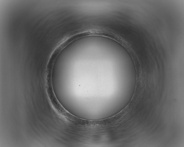 X0000062860730200601130947