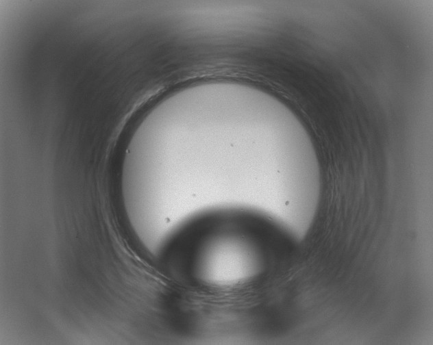 X0000062860731200601130947