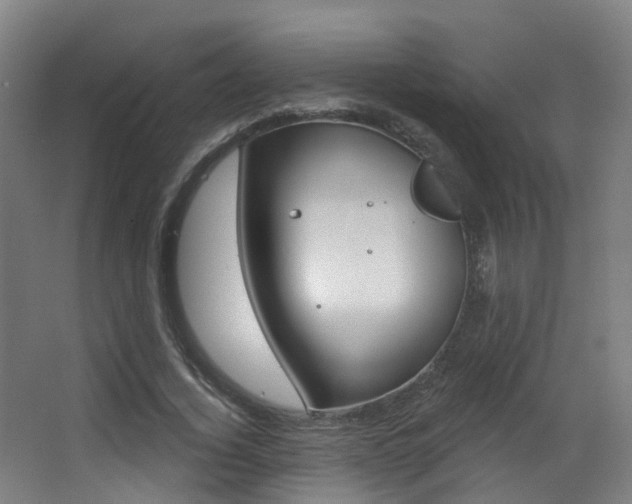 X0000062860732200601130947