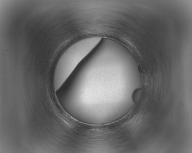 X0000062860733200601130947