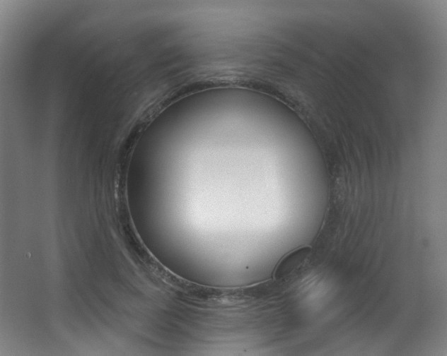 X0000062860739200601130947