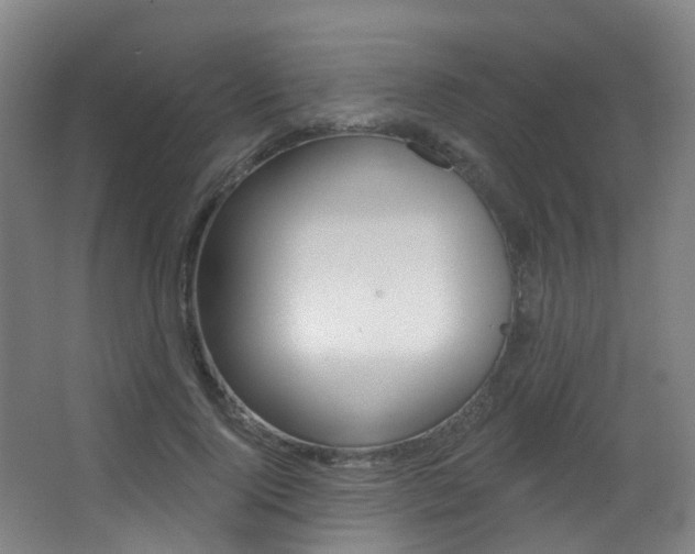 X0000062860740200601130947