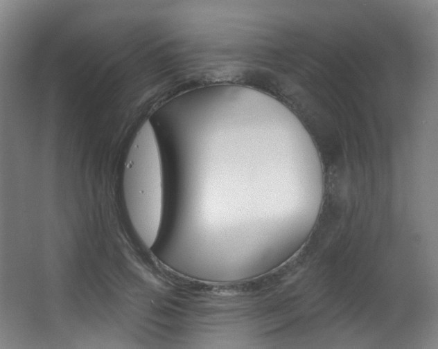 X0000062860741200601130947