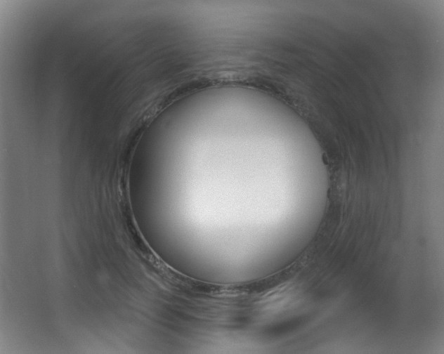 X0000062860746200601130947