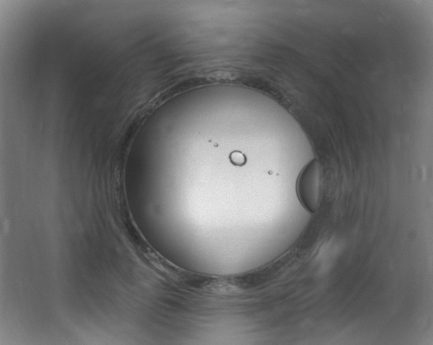 X0000062860747200601130947