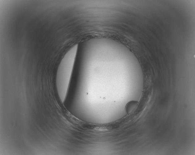 X0000062860749200601130947
