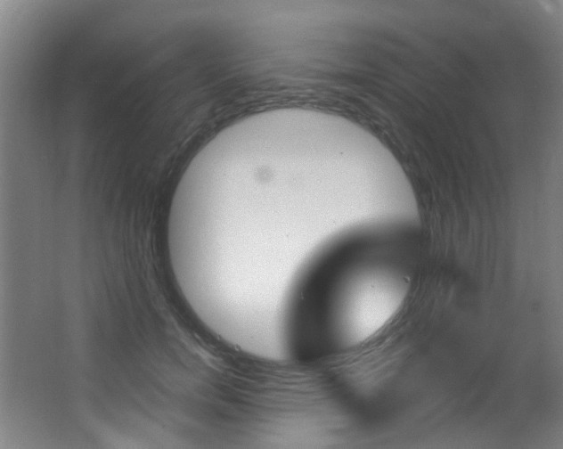 X0000062860750200601130947