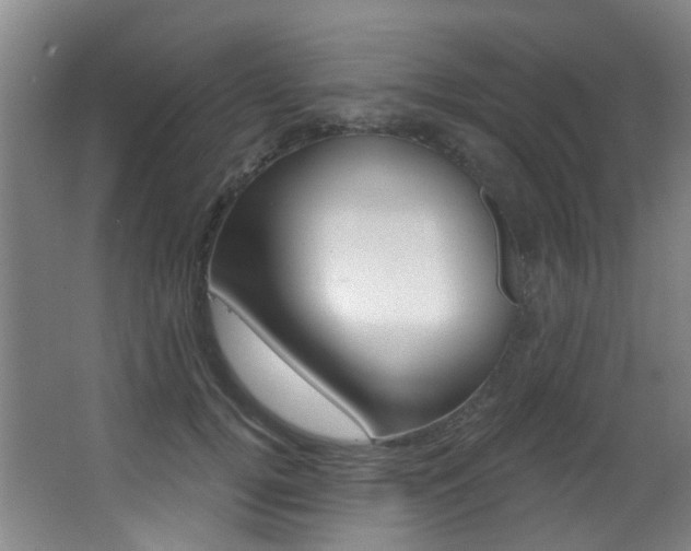 X0000062860752200601130947