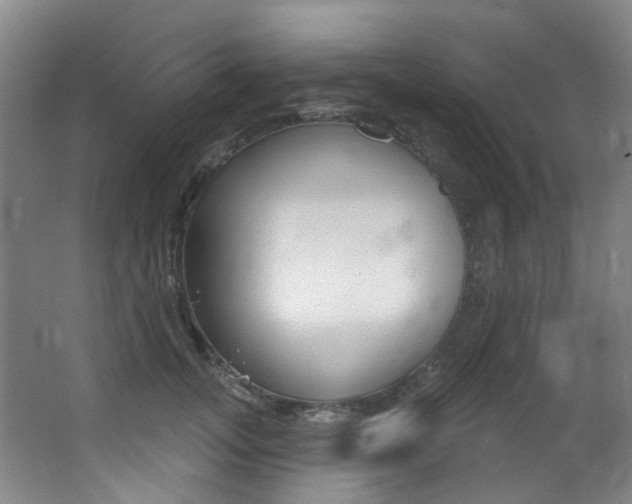 X0000062860755200601130947