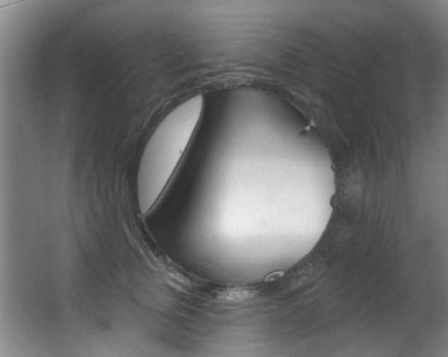 X0000062860759200601130947