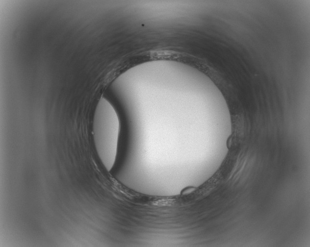 X0000062860761200601130947