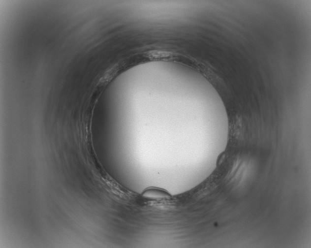 X0000062860763200601130947