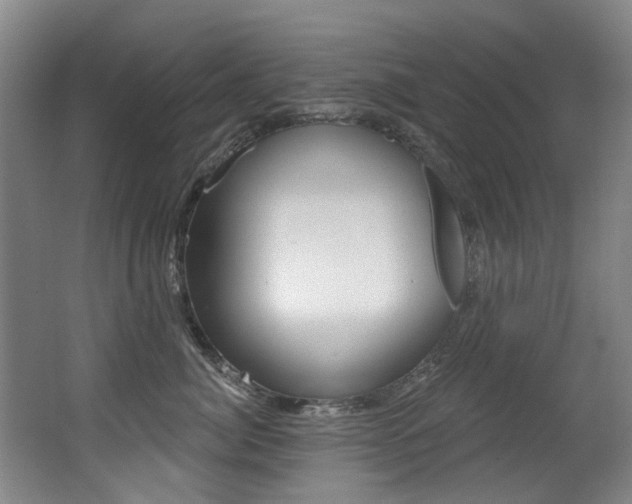 X0000062860764200601130947