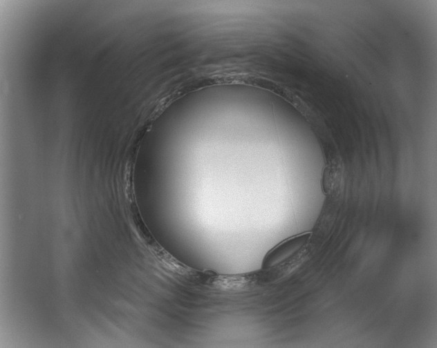 X0000062860767200601130948