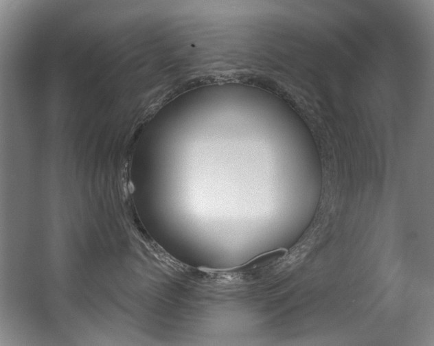 X0000062860768200601130948