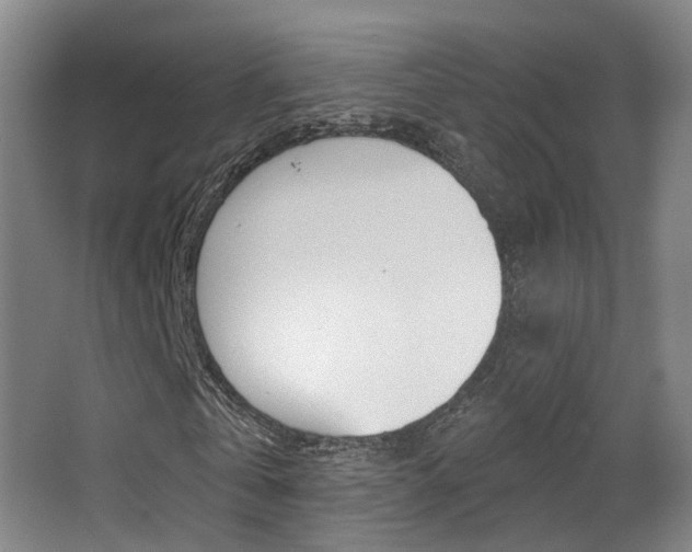 X0000062860769200601130947