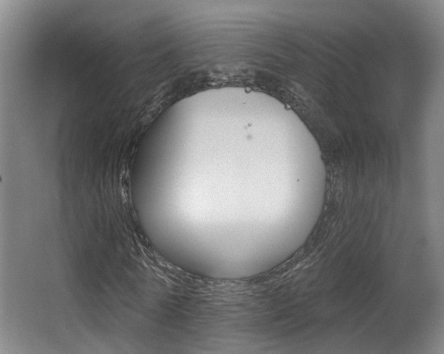 X0000062860770200601130947