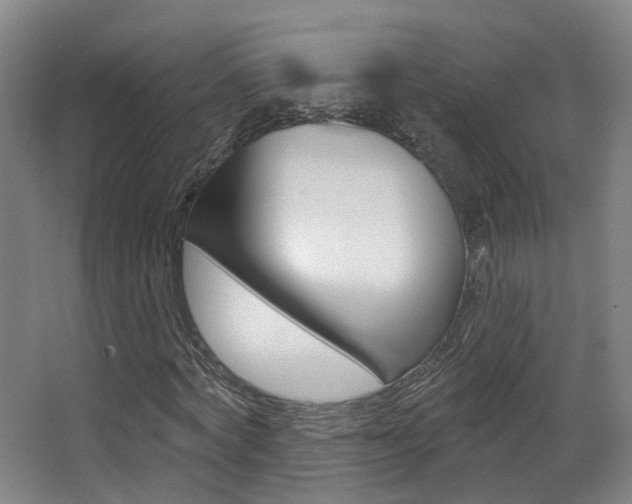 X0000062860772200601130947