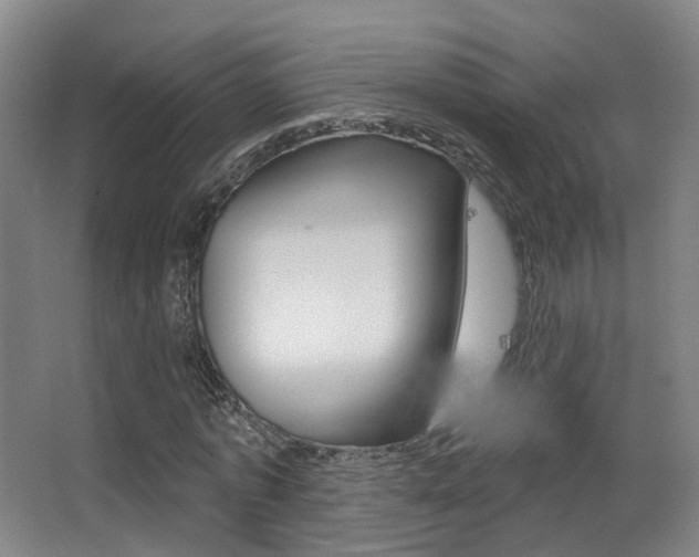 X0000062860773200601130947