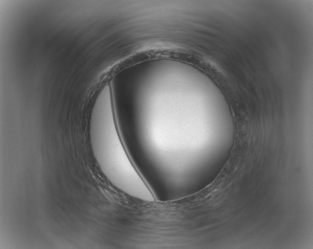 X0000062860775200601130947