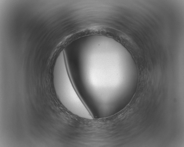 X0000062860776200601130947