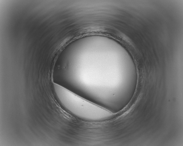 X0000062860777200601130947
