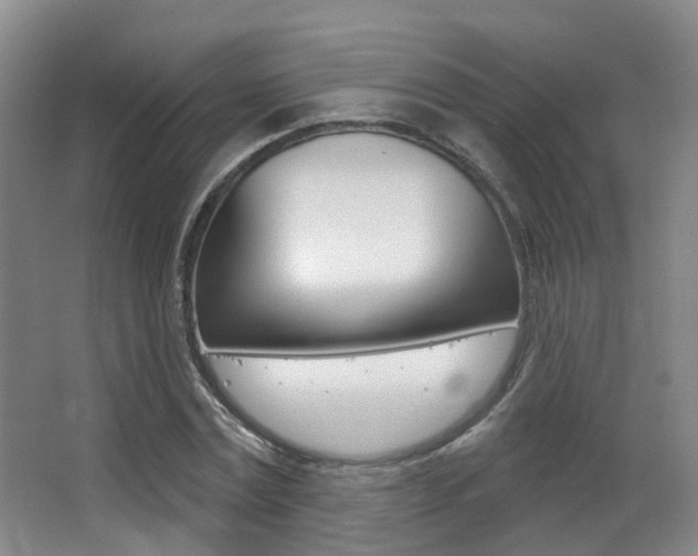 X0000062860779200601130946