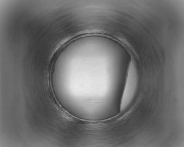 X0000062860781200601130946