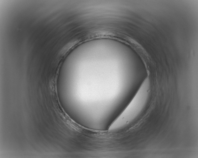 X0000062860785200601130946